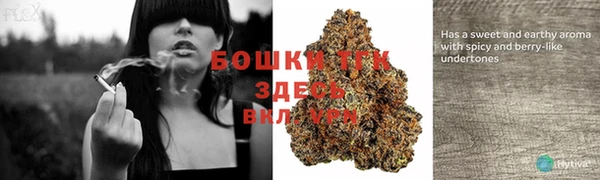 бошки Зеленодольск