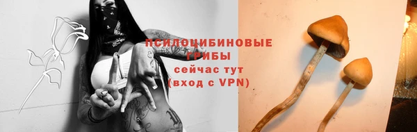 бошки Зеленодольск