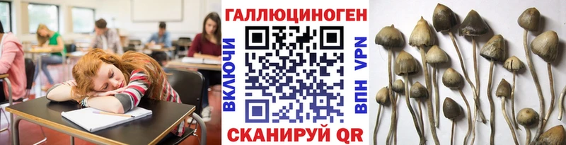 сколько стоит Крым Псилоцибиновые грибы ЛСД